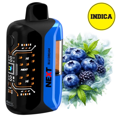 Next THC 9100mg Next THC Disposable Blu Dream