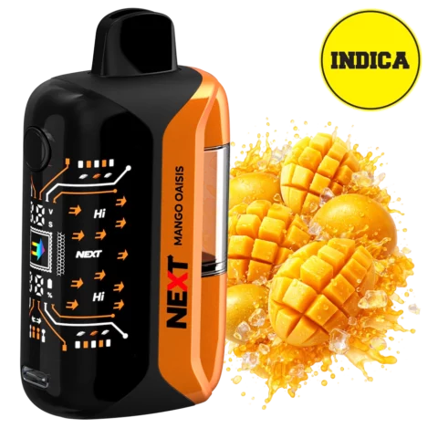 Next THC 9100mg Next THC Disposable Mango Oasis