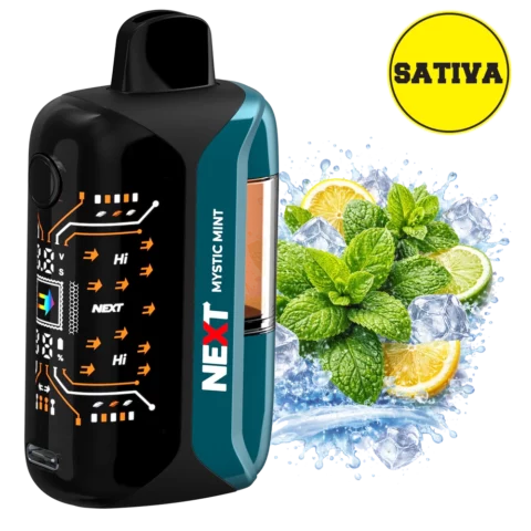 Next THC 9100mg Next THC Disposable Mystic Mint