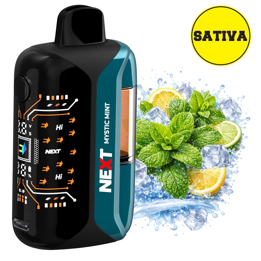 Next THC 9100mg Next THC Disposable Mystic Mint