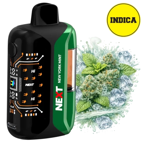 Next THC 9100mg Next THC Disposable New York Mint